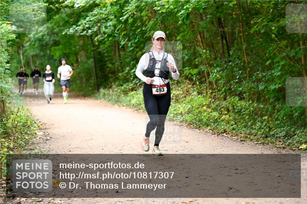 11.10.2026 - Bramfelder Halbmarathon 2026 Dr. Thomas Lammeyer http://msf.ph/oto/10817307 11.10.2026 09:56:59 Laufen 493 meine-sportfotos.de