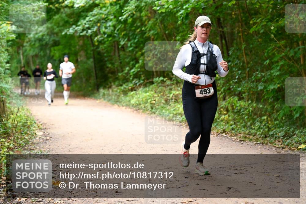 11.10.2026 - Bramfelder Halbmarathon 2026 Dr. Thomas Lammeyer http://msf.ph/oto/10817312 11.10.2026 09:57:00 Laufen 493 meine-sportfotos.de