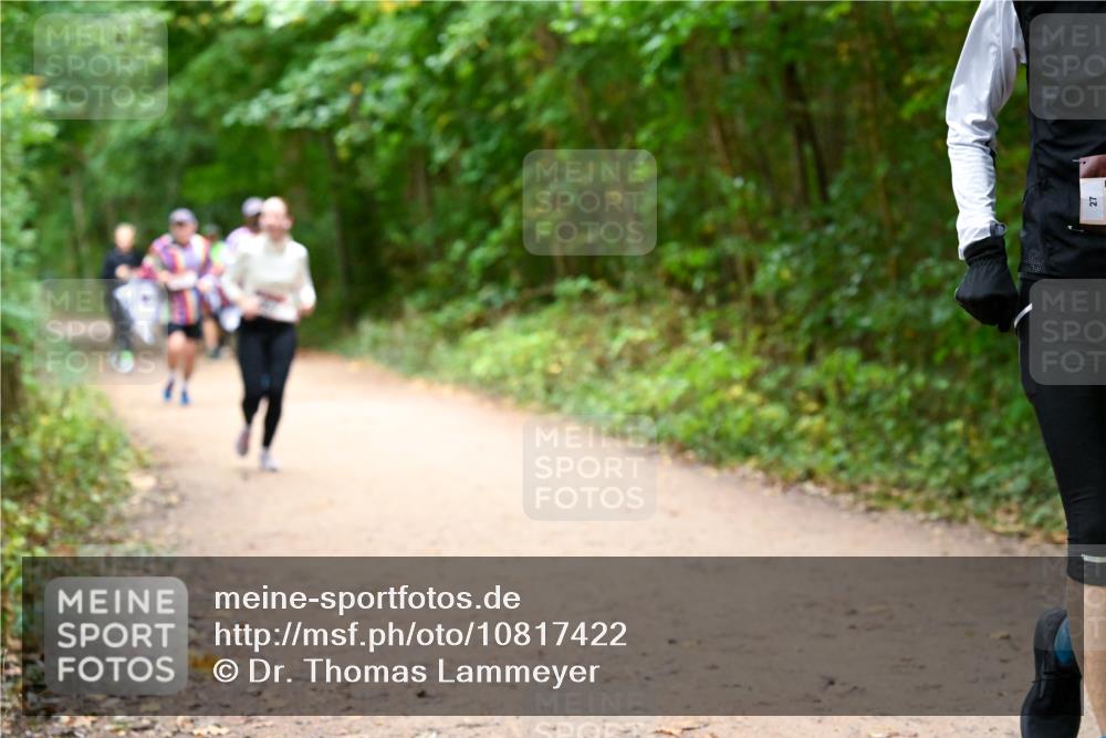 11.10.2026 - Bramfelder Halbmarathon 2026 Dr. Thomas Lammeyer http://msf.ph/oto/10817422 11.10.2026 09:57:22 Laufen 27 meine-sportfotos.de