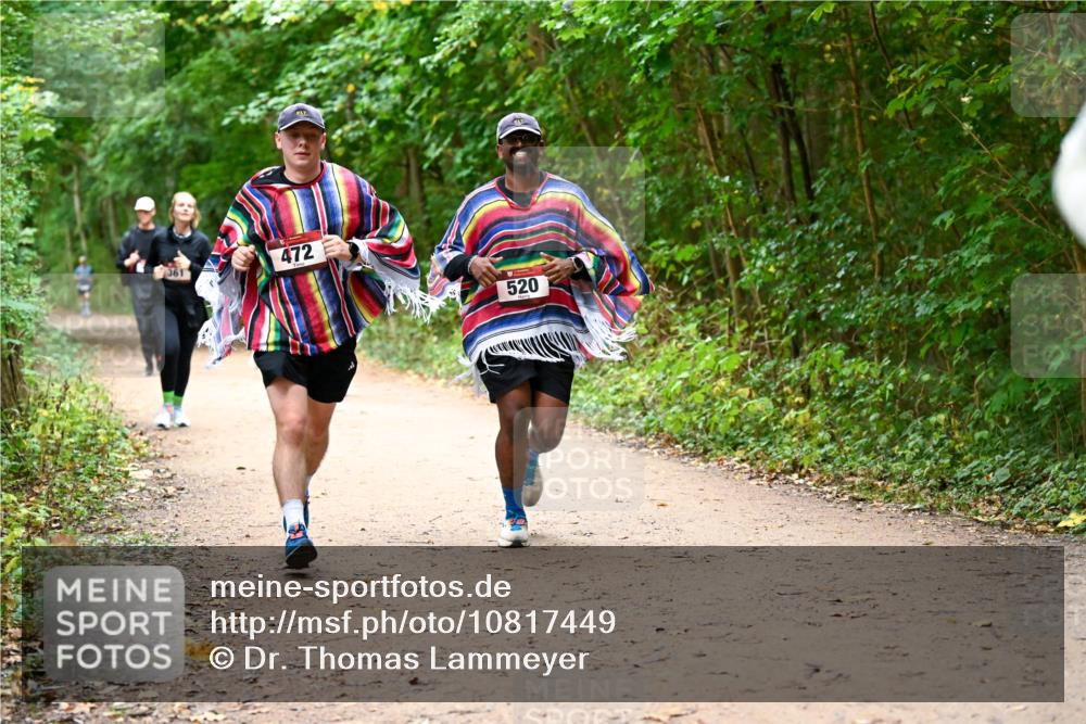 11.10.2026 - Bramfelder Halbmarathon 2026 Dr. Thomas Lammeyer http://msf.ph/oto/10817449 11.10.2026 09:57:26 Laufen 237, 472, 9, 520 meine-sportfotos.de