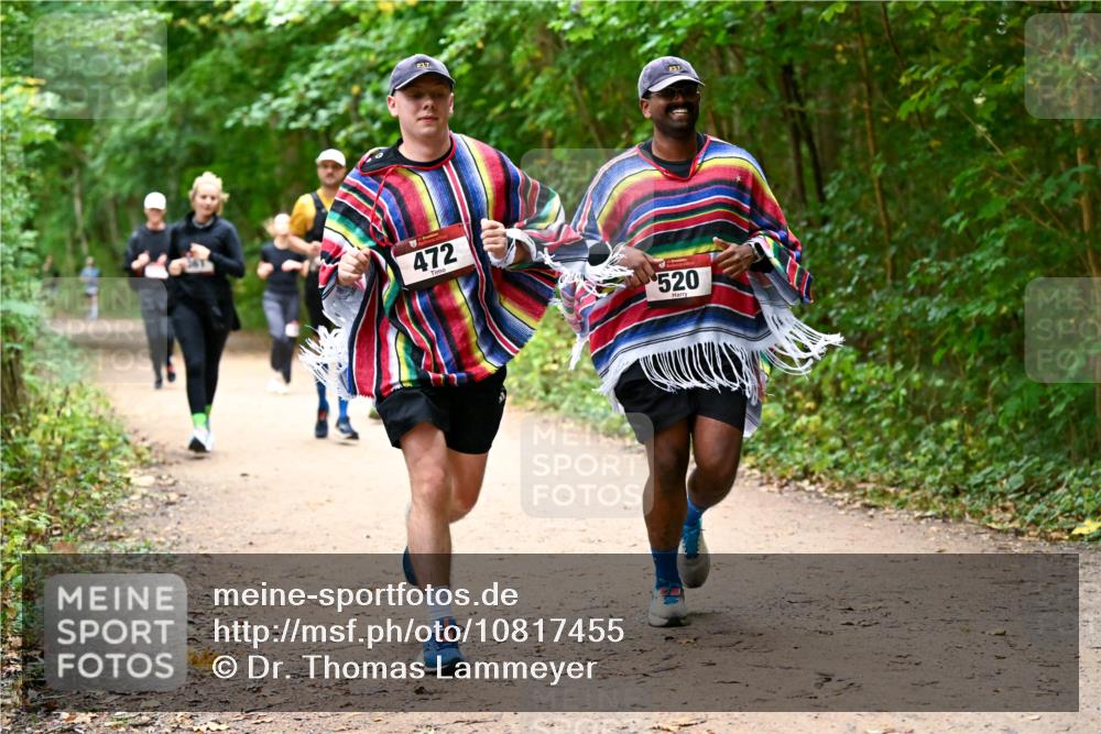 11.10.2026 - Bramfelder Halbmarathon 2026 Dr. Thomas Lammeyer http://msf.ph/oto/10817455 11.10.2026 09:57:27 Laufen 237, 472, 217, 520 meine-sportfotos.de