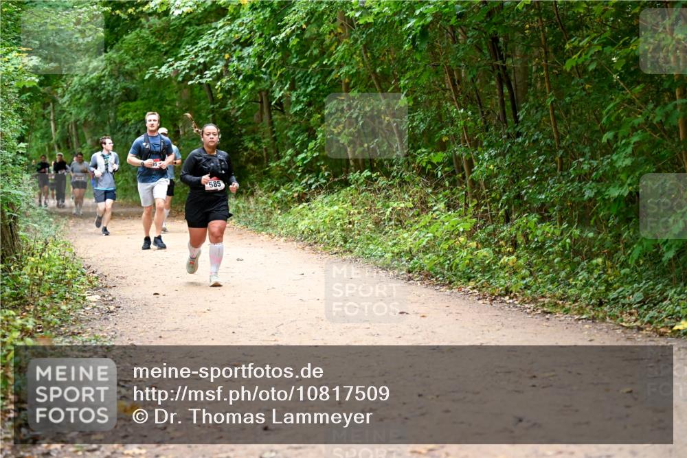 11.10.2026 - Bramfelder Halbmarathon 2026 Dr. Thomas Lammeyer http://msf.ph/oto/10817509 11.10.2026 09:57:45 Laufen 585 meine-sportfotos.de