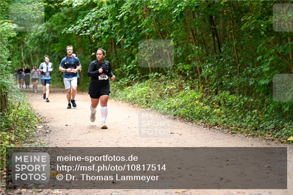 11.10.2026 - Bramfelder Halbmarathon 2026 Dr. Thomas Lammeyer http://msf.ph/oto/10817514 11.10.2026 09:57:46 Laufen 585 meine-sportfotos.de