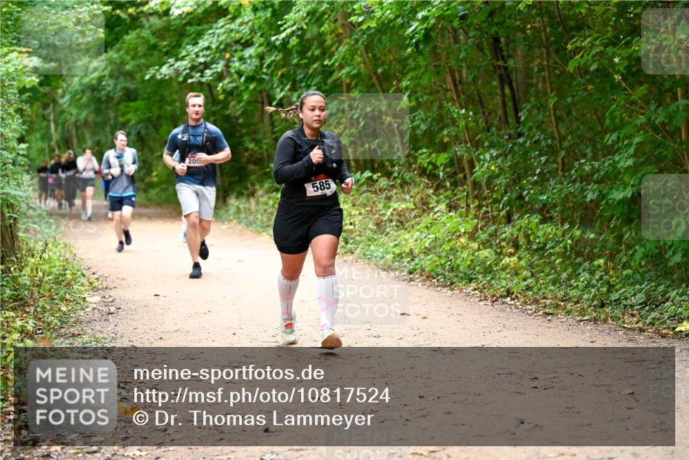 11.10.2026 - Bramfelder Halbmarathon 2026 Dr. Thomas Lammeyer http://msf.ph/oto/10817524 11.10.2026 09:57:47 Laufen 205, 585 meine-sportfotos.de