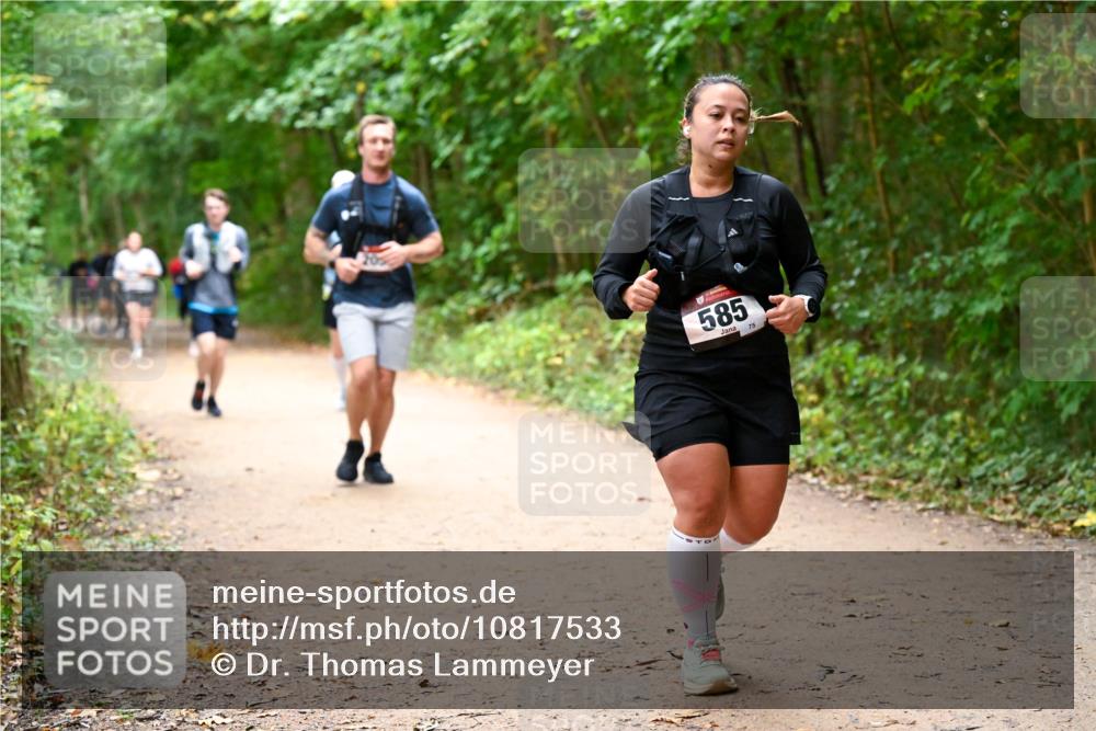 11.10.2026 - Bramfelder Halbmarathon 2026 Dr. Thomas Lammeyer http://msf.ph/oto/10817533 11.10.2026 09:57:49 Laufen 38, 585, 75 meine-sportfotos.de