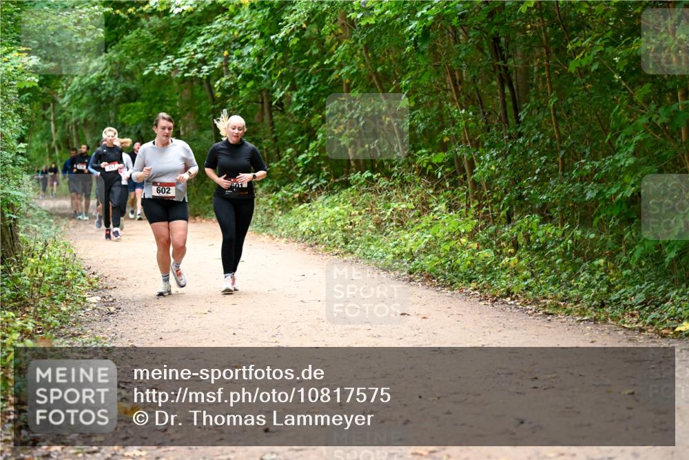 11.10.2026 - Bramfelder Halbmarathon 2026 Dr. Thomas Lammeyer http://msf.ph/oto/10817575 11.10.2026 09:57:55 Laufen 357, 602 meine-sportfotos.de