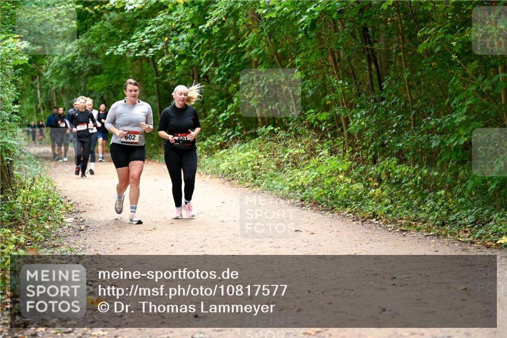 11.10.2026 - Bramfelder Halbmarathon 2026 Dr. Thomas Lammeyer http://msf.ph/oto/10817577 11.10.2026 09:57:55 Laufen 602 meine-sportfotos.de