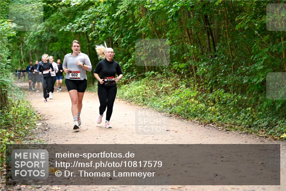 11.10.2026 - Bramfelder Halbmarathon 2026 Dr. Thomas Lammeyer http://msf.ph/oto/10817579 11.10.2026 09:57:56 Laufen 200, 602, 601 meine-sportfotos.de