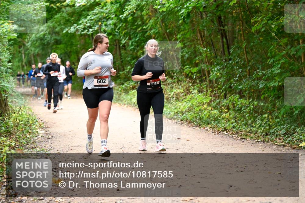11.10.2026 - Bramfelder Halbmarathon 2026 Dr. Thomas Lammeyer http://msf.ph/oto/10817585 11.10.2026 09:57:57 Laufen 602, 601 meine-sportfotos.de