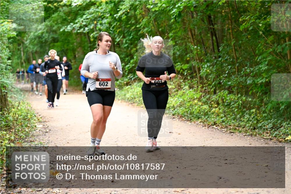 11.10.2026 - Bramfelder Halbmarathon 2026 Dr. Thomas Lammeyer http://msf.ph/oto/10817587 11.10.2026 09:57:57 Laufen 602, 601 meine-sportfotos.de