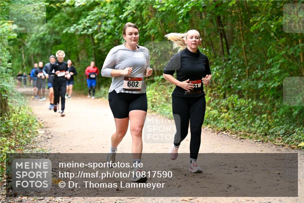 11.10.2026 - Bramfelder Halbmarathon 2026 Dr. Thomas Lammeyer http://msf.ph/oto/10817590 11.10.2026 09:57:58 Laufen 602 meine-sportfotos.de
