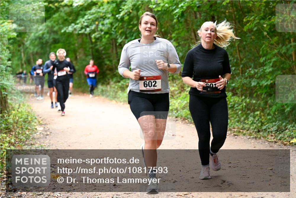 11.10.2026 - Bramfelder Halbmarathon 2026 Dr. Thomas Lammeyer http://msf.ph/oto/10817593 11.10.2026 09:57:58 Laufen 602 meine-sportfotos.de