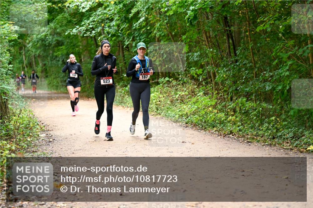 11.10.2026 - Bramfelder Halbmarathon 2026 Dr. Thomas Lammeyer http://msf.ph/oto/10817723 11.10.2026 09:58:37 Laufen 742, 187, 523 meine-sportfotos.de