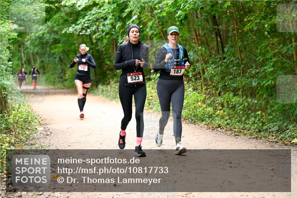 11.10.2026 - Bramfelder Halbmarathon 2026 Dr. Thomas Lammeyer http://msf.ph/oto/10817733 11.10.2026 09:58:38 Laufen 742, 523, 187 meine-sportfotos.de