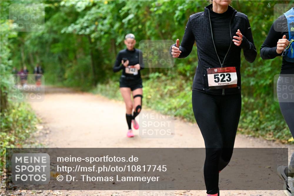 11.10.2026 - Bramfelder Halbmarathon 2026 Dr. Thomas Lammeyer http://msf.ph/oto/10817745 11.10.2026 09:58:40 Laufen 35, 523 meine-sportfotos.de