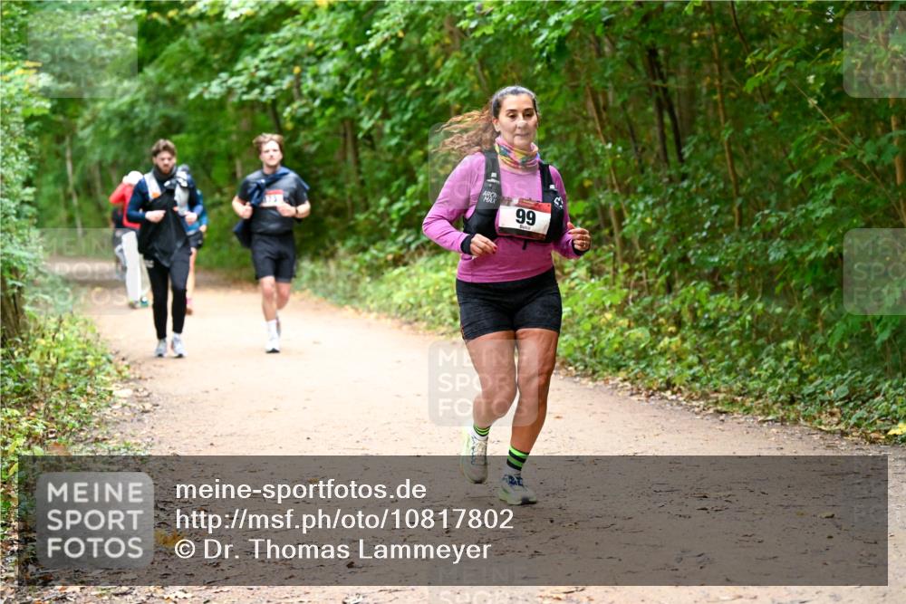 11.10.2026 - Bramfelder Halbmarathon 2026 Dr. Thomas Lammeyer http://msf.ph/oto/10817802 11.10.2026 09:58:57 Laufen 99 meine-sportfotos.de