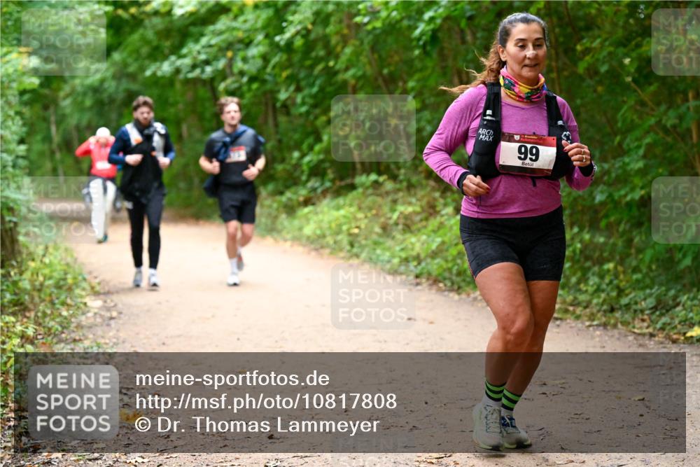 11.10.2026 - Bramfelder Halbmarathon 2026 Dr. Thomas Lammeyer http://msf.ph/oto/10817808 11.10.2026 09:58:58 Laufen 99 meine-sportfotos.de