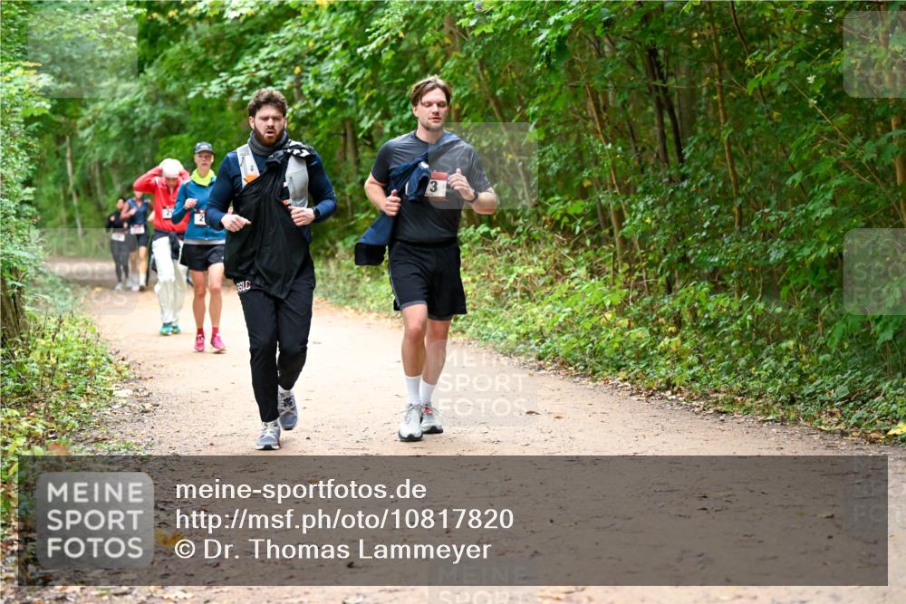 11.10.2026 - Bramfelder Halbmarathon 2026 Dr. Thomas Lammeyer http://msf.ph/oto/10817820 11.10.2026 09:59:00 Laufen 3 meine-sportfotos.de