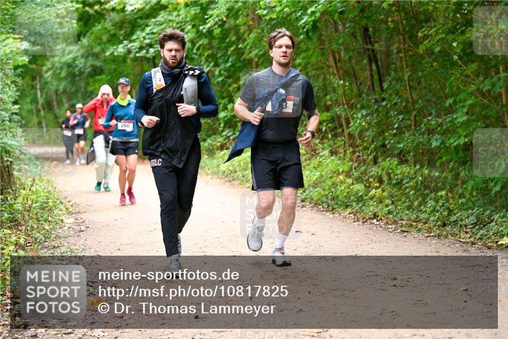 11.10.2026 - Bramfelder Halbmarathon 2026 Dr. Thomas Lammeyer http://msf.ph/oto/10817825 11.10.2026 09:59:01 Laufen 260 meine-sportfotos.de
