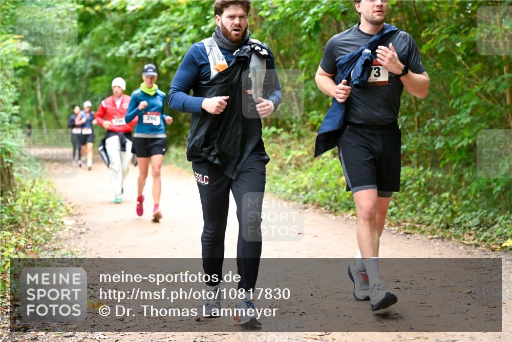 11.10.2026 - Bramfelder Halbmarathon 2026 Dr. Thomas Lammeyer http://msf.ph/oto/10817830 11.10.2026 09:59:02 Laufen 260, 73 meine-sportfotos.de