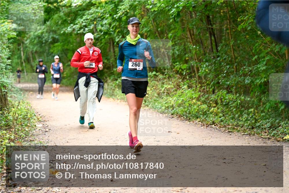11.10.2026 - Bramfelder Halbmarathon 2026 Dr. Thomas Lammeyer http://msf.ph/oto/10817840 11.10.2026 09:59:03 Laufen 96, 260, 280 meine-sportfotos.de