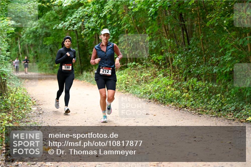 11.10.2026 - Bramfelder Halbmarathon 2026 Dr. Thomas Lammeyer http://msf.ph/oto/10817877 11.10.2026 09:59:09 Laufen 190, 212 meine-sportfotos.de