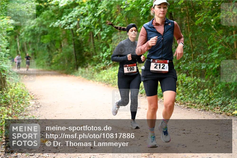 11.10.2026 - Bramfelder Halbmarathon 2026 Dr. Thomas Lammeyer http://msf.ph/oto/10817886 11.10.2026 09:59:11 Laufen 190, 212 meine-sportfotos.de