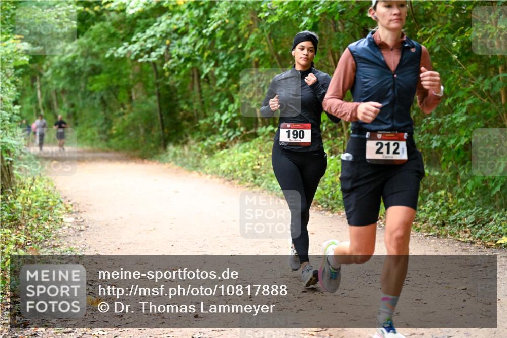 11.10.2026 - Bramfelder Halbmarathon 2026 Dr. Thomas Lammeyer http://msf.ph/oto/10817888 11.10.2026 09:59:11 Laufen 190, 212 meine-sportfotos.de