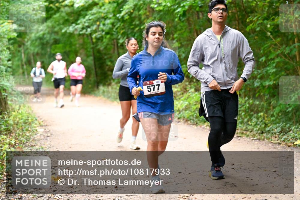 11.10.2026 - Bramfelder Halbmarathon 2026 Dr. Thomas Lammeyer http://msf.ph/oto/10817933 11.10.2026 09:59:33 Laufen 293, 577 meine-sportfotos.de