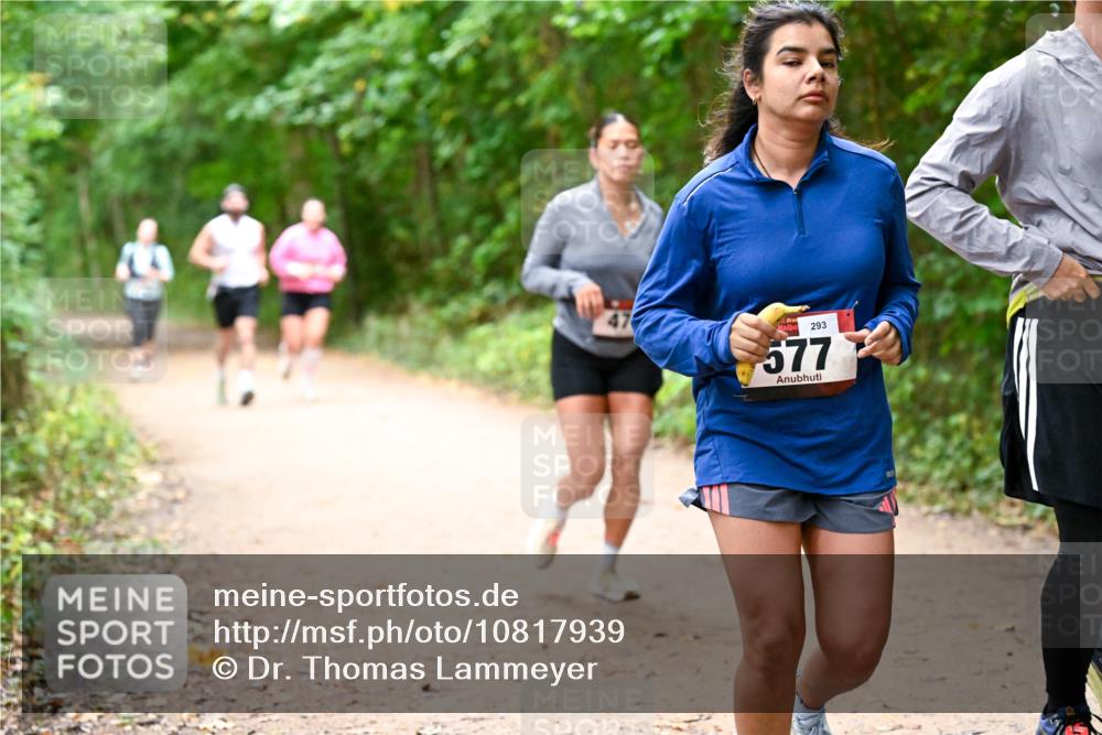 11.10.2026 - Bramfelder Halbmarathon 2026 Dr. Thomas Lammeyer http://msf.ph/oto/10817939 11.10.2026 09:59:34 Laufen 293, 577 meine-sportfotos.de