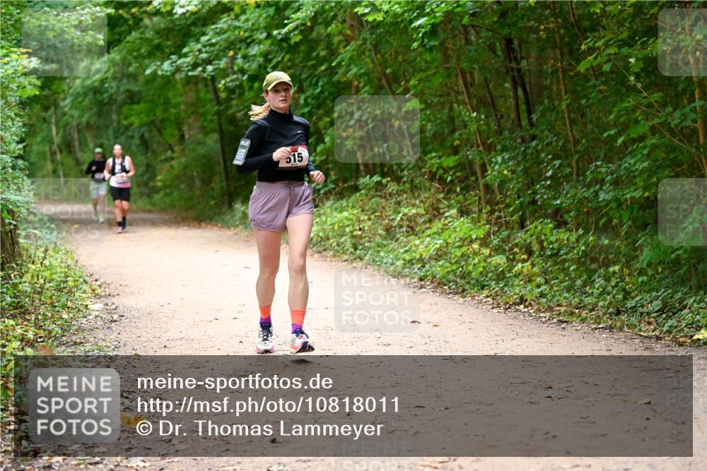 11.10.2026 - Bramfelder Halbmarathon 2026 Dr. Thomas Lammeyer http://msf.ph/oto/10818011 11.10.2026 10:00:00 Laufen 15 meine-sportfotos.de