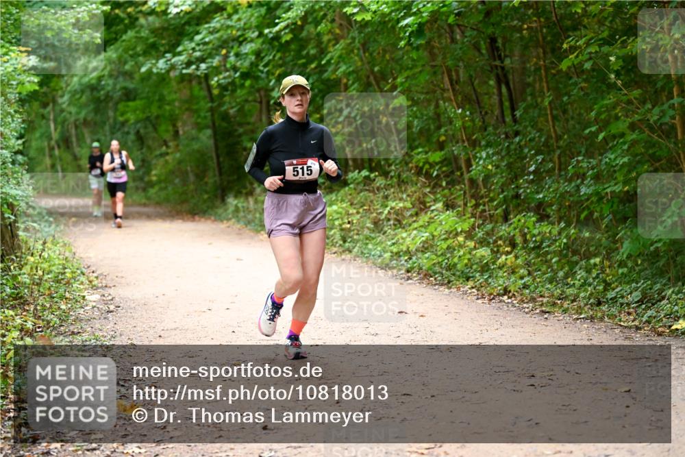 11.10.2026 - Bramfelder Halbmarathon 2026 Dr. Thomas Lammeyer http://msf.ph/oto/10818013 11.10.2026 10:00:00 Laufen 515 meine-sportfotos.de