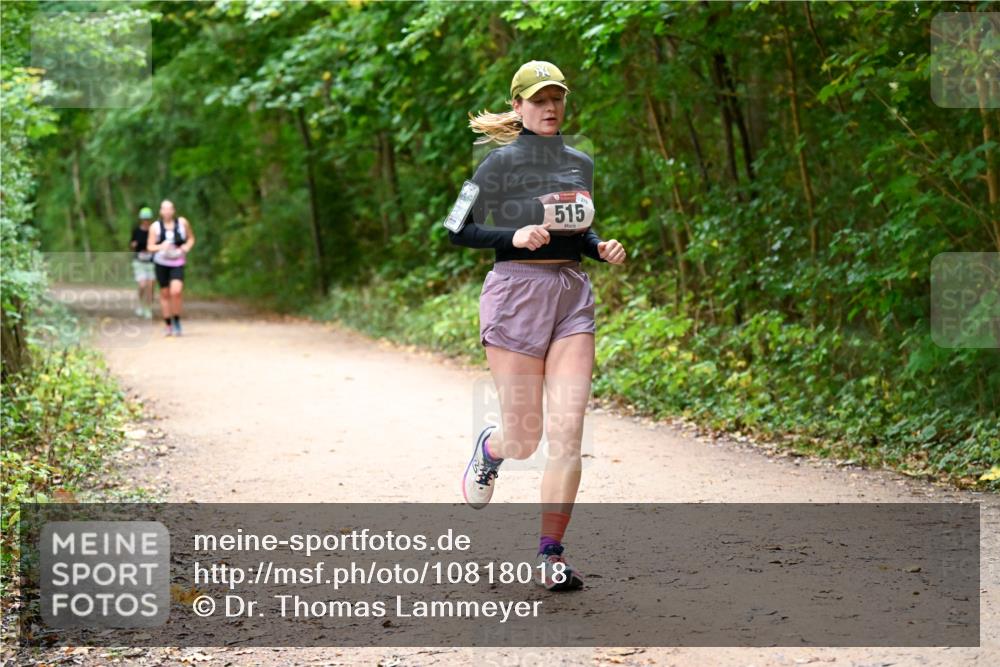 11.10.2026 - Bramfelder Halbmarathon 2026 Dr. Thomas Lammeyer http://msf.ph/oto/10818018 11.10.2026 10:00:01 Laufen 515 meine-sportfotos.de