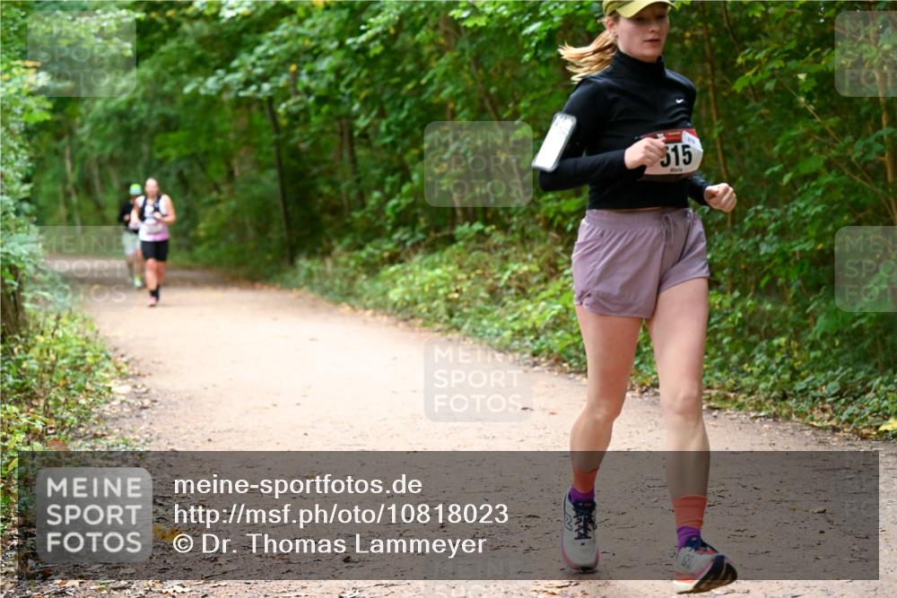 11.10.2026 - Bramfelder Halbmarathon 2026 Dr. Thomas Lammeyer http://msf.ph/oto/10818023 11.10.2026 10:00:02 Laufen 515 meine-sportfotos.de
