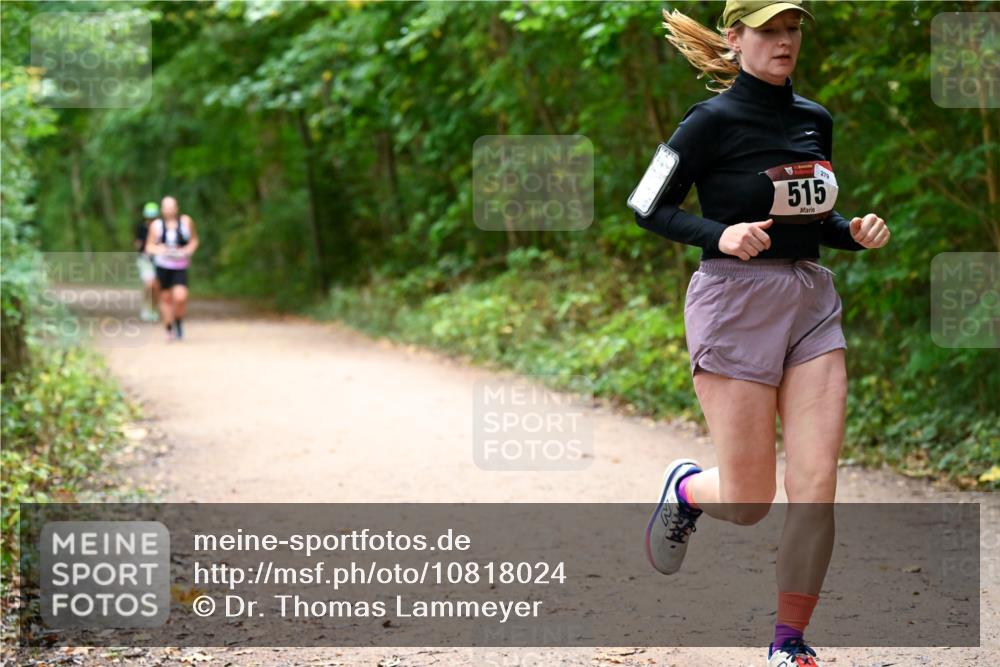 11.10.2026 - Bramfelder Halbmarathon 2026 Dr. Thomas Lammeyer http://msf.ph/oto/10818024 11.10.2026 10:00:02 Laufen 279, 515 meine-sportfotos.de
