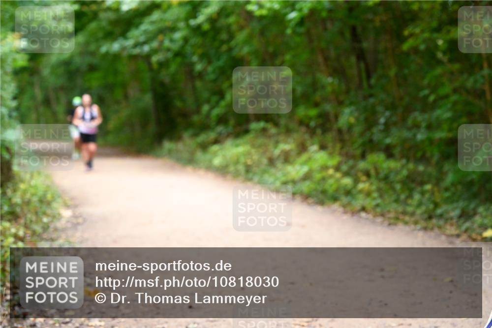 11.10.2026 - Bramfelder Halbmarathon 2026 Dr. Thomas Lammeyer http://msf.ph/oto/10818030 11.10.2026 10:00:02 Laufen  meine-sportfotos.de