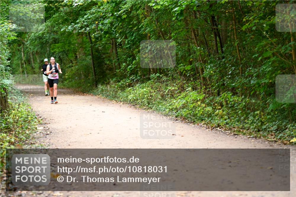 11.10.2026 - Bramfelder Halbmarathon 2026 Dr. Thomas Lammeyer http://msf.ph/oto/10818031 11.10.2026 10:00:03 Laufen 547 meine-sportfotos.de