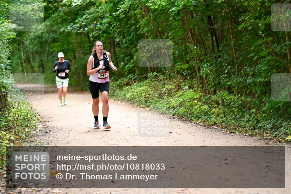 11.10.2026 - Bramfelder Halbmarathon 2026 Dr. Thomas Lammeyer http://msf.ph/oto/10818033 11.10.2026 10:00:07 Laufen 503, 547 meine-sportfotos.de
