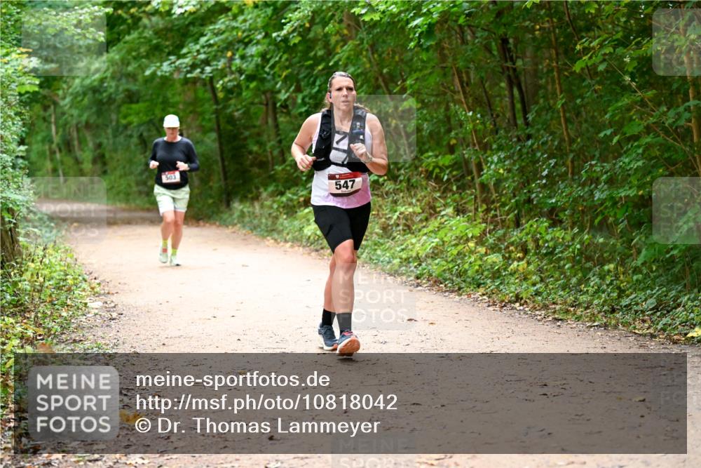 11.10.2026 - Bramfelder Halbmarathon 2026 Dr. Thomas Lammeyer http://msf.ph/oto/10818042 11.10.2026 10:00:09 Laufen 503, 547 meine-sportfotos.de