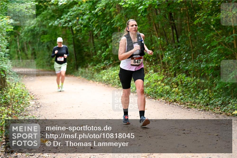 11.10.2026 - Bramfelder Halbmarathon 2026 Dr. Thomas Lammeyer http://msf.ph/oto/10818045 11.10.2026 10:00:09 Laufen 503, 547 meine-sportfotos.de
