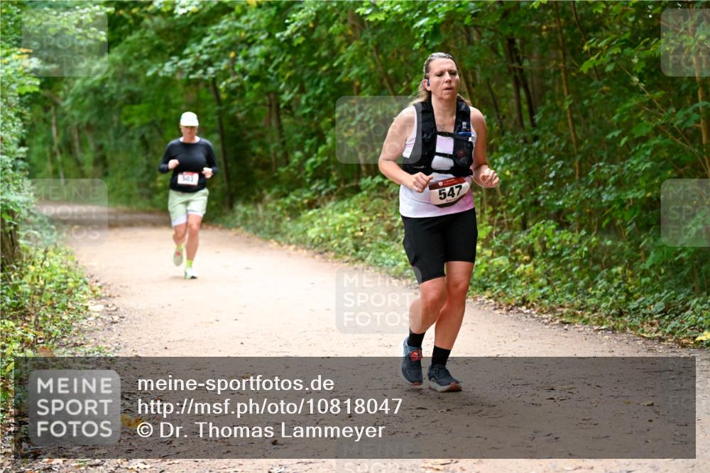 11.10.2026 - Bramfelder Halbmarathon 2026 Dr. Thomas Lammeyer http://msf.ph/oto/10818047 11.10.2026 10:00:09 Laufen 547 meine-sportfotos.de