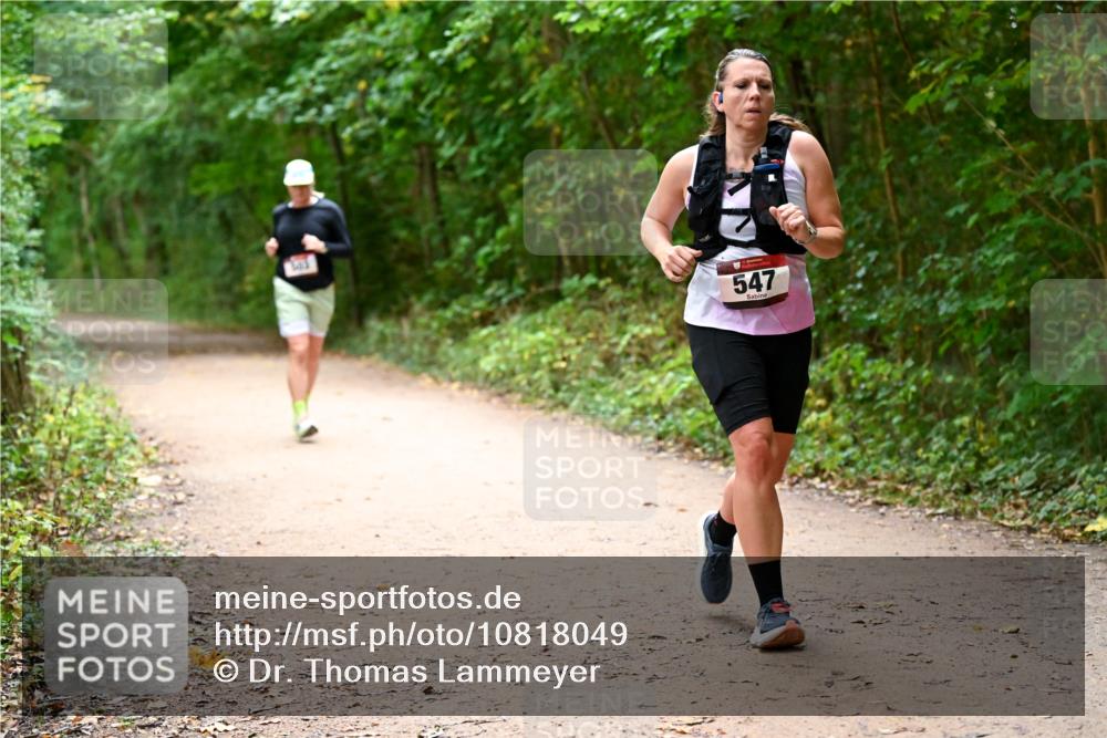 11.10.2026 - Bramfelder Halbmarathon 2026 Dr. Thomas Lammeyer http://msf.ph/oto/10818049 11.10.2026 10:00:10 Laufen 547 meine-sportfotos.de