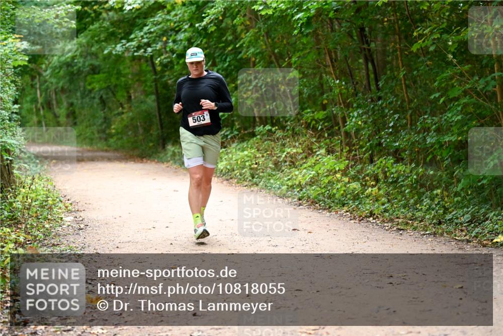 11.10.2026 - Bramfelder Halbmarathon 2026 Dr. Thomas Lammeyer http://msf.ph/oto/10818055 11.10.2026 10:00:12 Laufen 503 meine-sportfotos.de