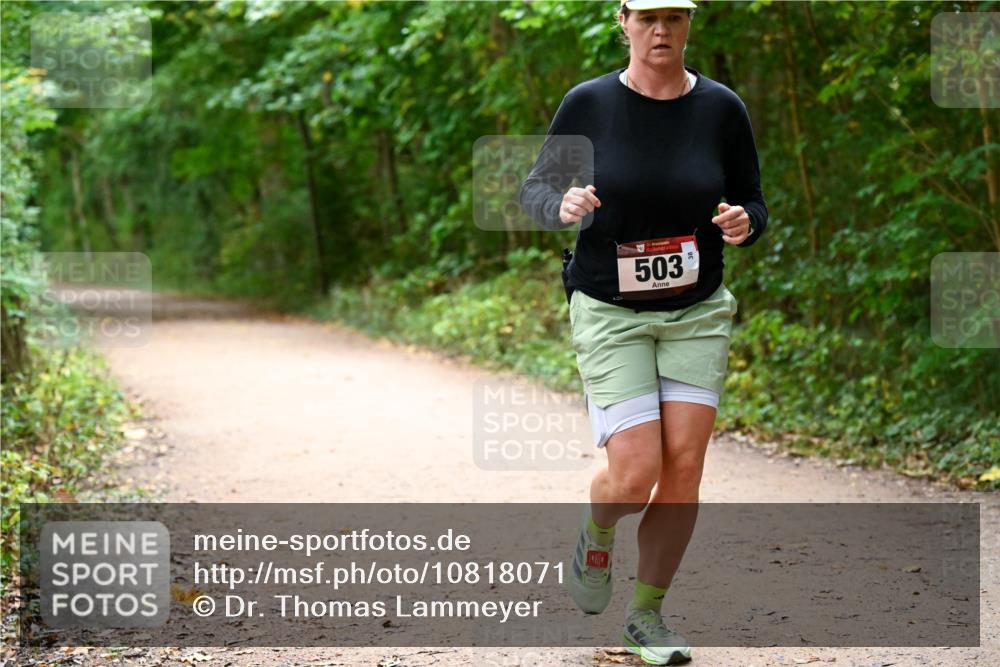 11.10.2026 - Bramfelder Halbmarathon 2026 Dr. Thomas Lammeyer http://msf.ph/oto/10818071 11.10.2026 10:00:14 Laufen 503 meine-sportfotos.de