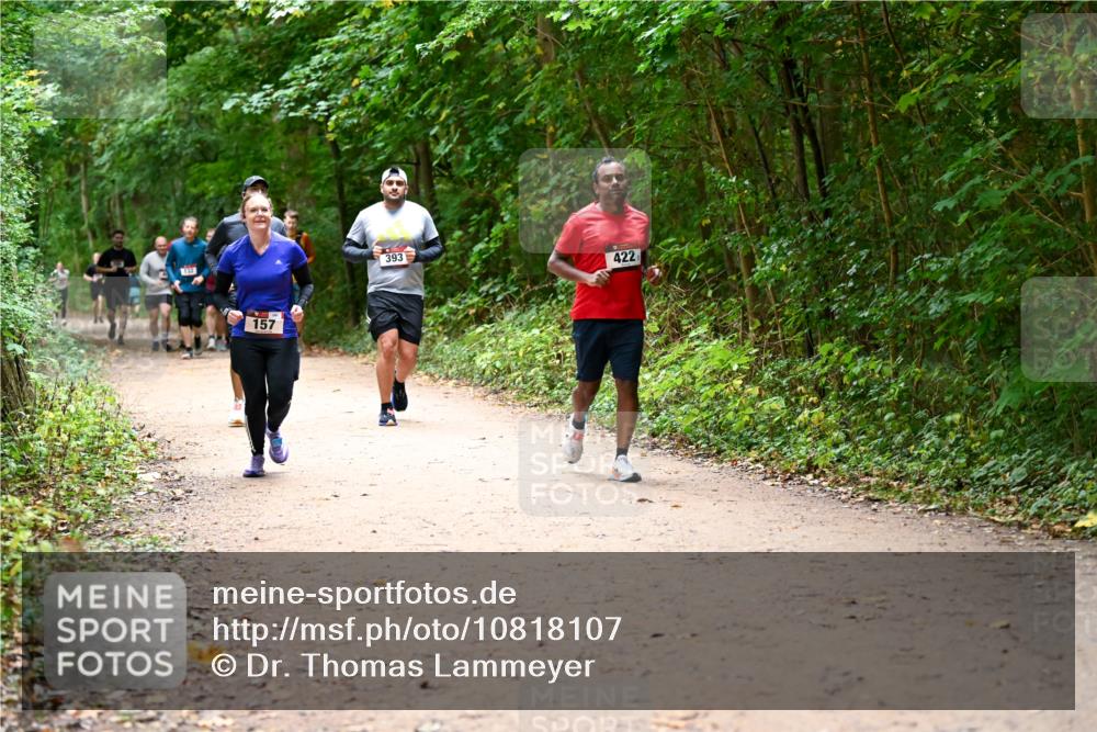 11.10.2026 - Bramfelder Halbmarathon 2026 Dr. Thomas Lammeyer http://msf.ph/oto/10818107 11.10.2026 10:01:02 Laufen 133, 157, 393, 422 meine-sportfotos.de