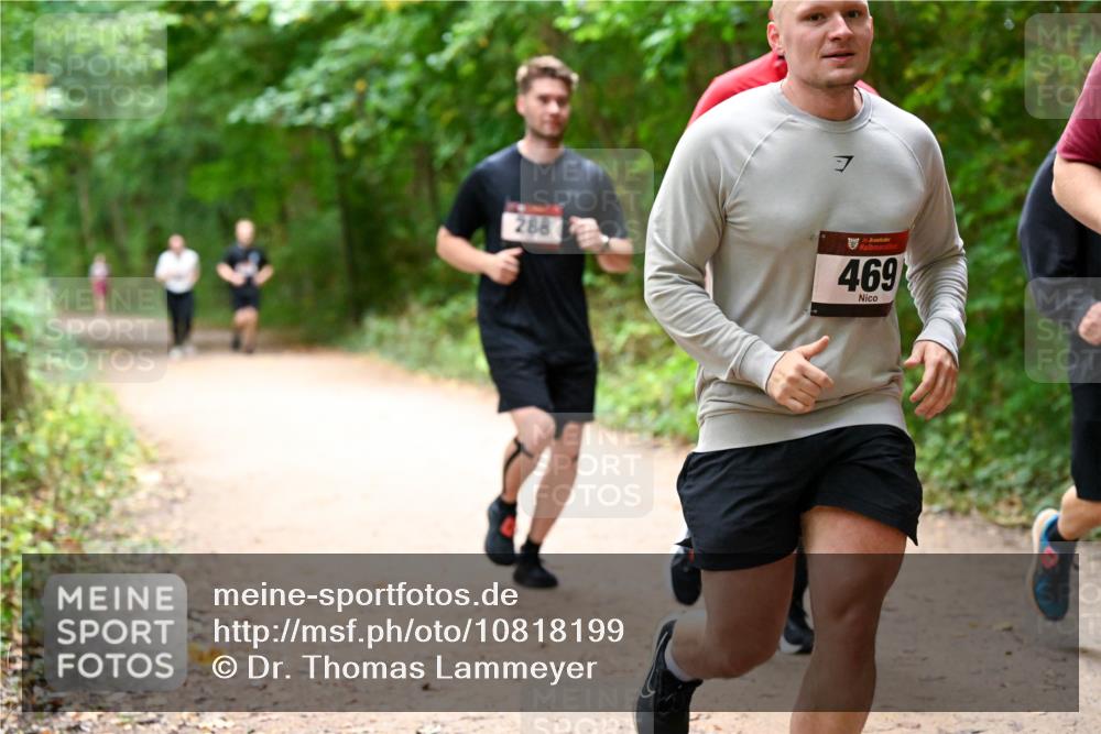 11.10.2026 - Bramfelder Halbmarathon 2026 Dr. Thomas Lammeyer http://msf.ph/oto/10818199 11.10.2026 10:01:16 Laufen 288, 7, 5, 469 meine-sportfotos.de