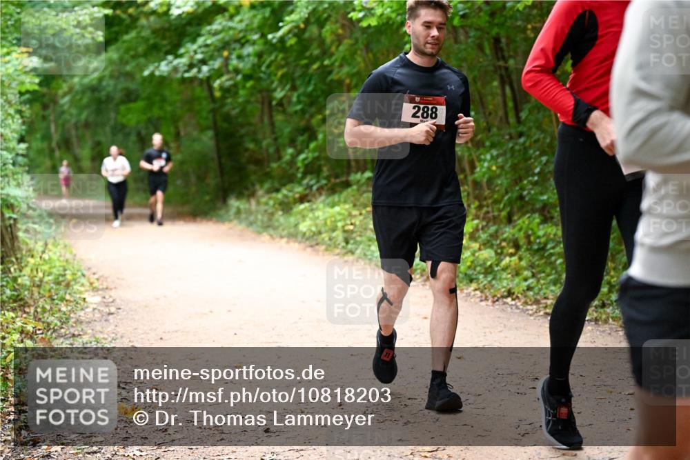 11.10.2026 - Bramfelder Halbmarathon 2026 Dr. Thomas Lammeyer http://msf.ph/oto/10818203 11.10.2026 10:01:17 Laufen 288 meine-sportfotos.de