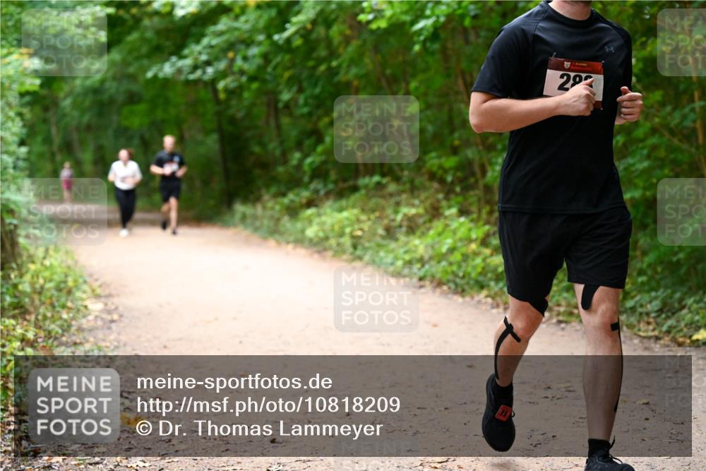 11.10.2026 - Bramfelder Halbmarathon 2026 Dr. Thomas Lammeyer http://msf.ph/oto/10818209 11.10.2026 10:01:17 Laufen 292 meine-sportfotos.de