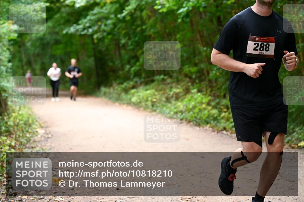 11.10.2026 - Bramfelder Halbmarathon 2026 Dr. Thomas Lammeyer http://msf.ph/oto/10818210 11.10.2026 10:01:18 Laufen 288 meine-sportfotos.de