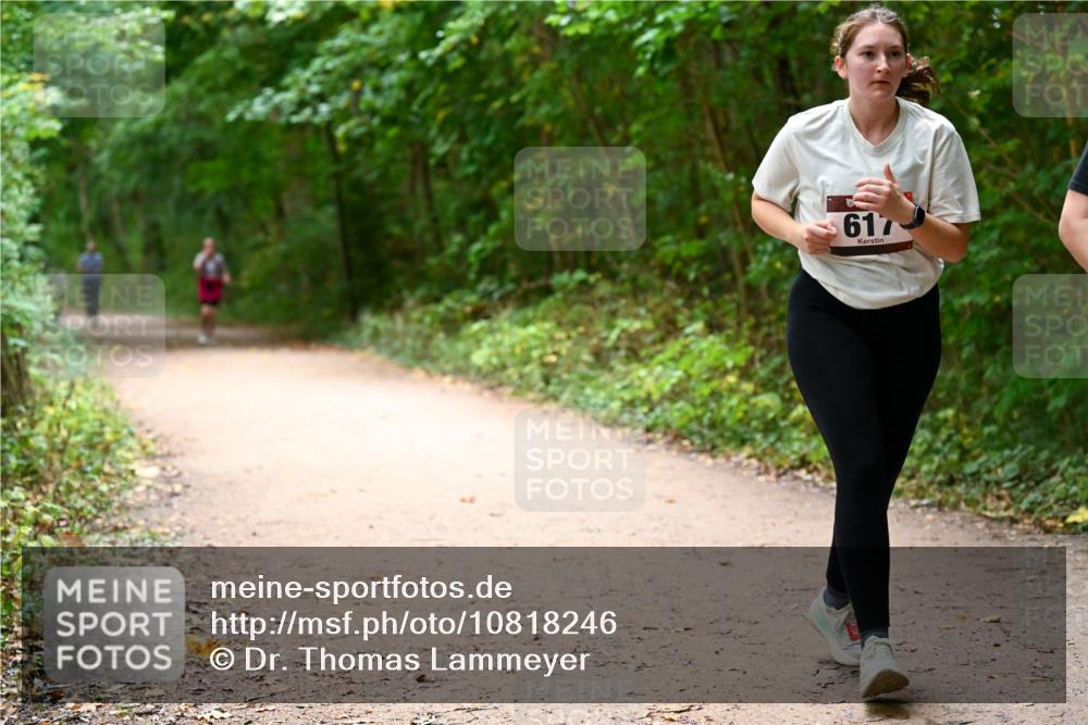 11.10.2026 - Bramfelder Halbmarathon 2026 Dr. Thomas Lammeyer http://msf.ph/oto/10818246 11.10.2026 10:01:28 Laufen 617 meine-sportfotos.de